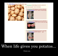 Rule 34