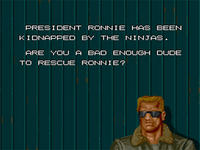 Bad Dudes