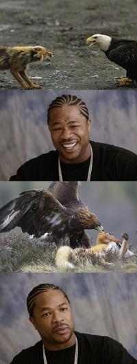 Xzibit Yo Dawg