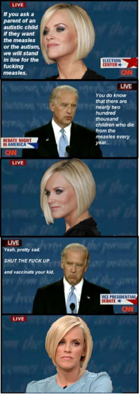 Biden / Palin Debate 4pane