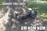 Om Nom Nom Nom