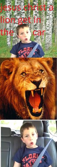 Jesus Christ It's a Lion Get In The Car!