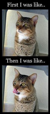 At First I Was Like...