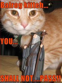 You Shall Not Pass!!!