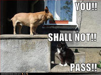 You Shall Not Pass!!!