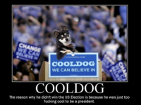 Cool Dog
