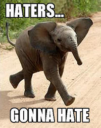 Haters Gonna Hate