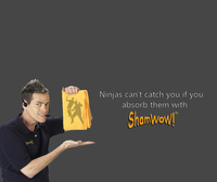 Ninjas Can't Catch You If...