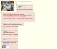 Peter the Cat (The King of /b/)