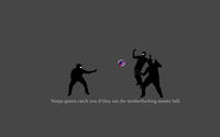 Ninjas Can't Catch You If...