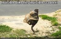 Invisible X