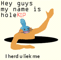 HoleGuy