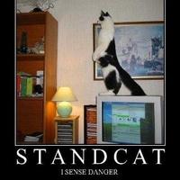 Standing Cat