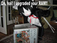 Oh Hi I Upgraded Your RAM