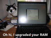 Oh Hi I Upgraded Your RAM