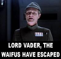 Waifu