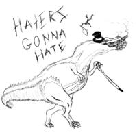 Haters Gonna Hate