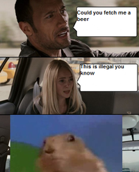 The Rock Driving