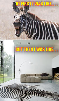 At First I Was Like...