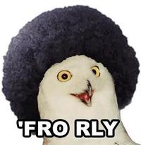 O RLY?