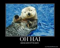 OH HAI