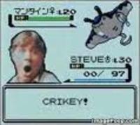 Fake Pokémon Battles