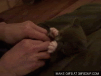 Surprised Kitty