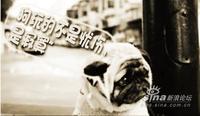 Loneliness Party (寂寞党)