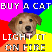 Advice Dog