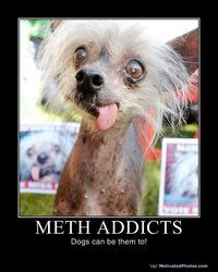 X isn't normal, but on Meth it is