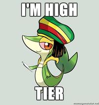 Smugleaf / Snivy