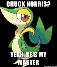 Smugleaf / Snivy