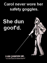 Carol’s Safety Goggles