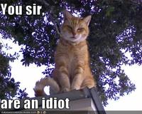 You, sir, are and idiot