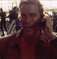 Arnold