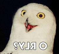 O RLY?