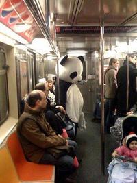 20090520_sadpanda_4