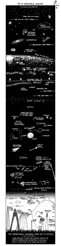 Cat on a Keyboard in Space