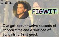 Figwit