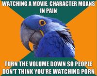 Paranoid Parrot