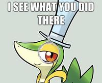 Smugleaf / Snivy