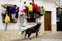 Prancing Cera