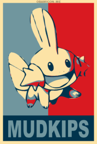 I Herd U Like Mudkips