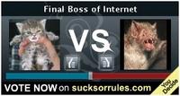 Final Boss of the Internet