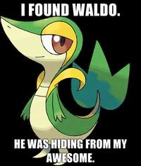 Smugleaf / Snivy