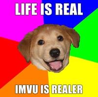 Advice Dog