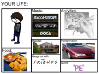 Your Life