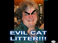 Mary Bale (Woman dumped cat in wheelie bin)