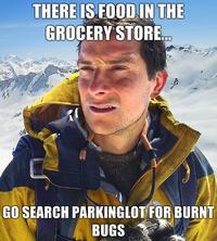 There-is-food-in-the-grocery-store-go-search-parkinglot-for-burnt-bugs