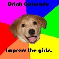 Advice Dog